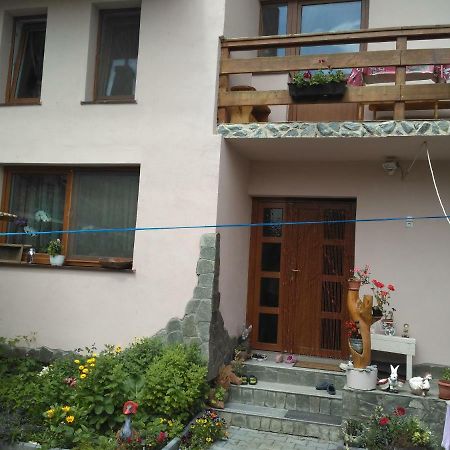 Casa Teo Hotell Ocna Sibiului Exteriör bild