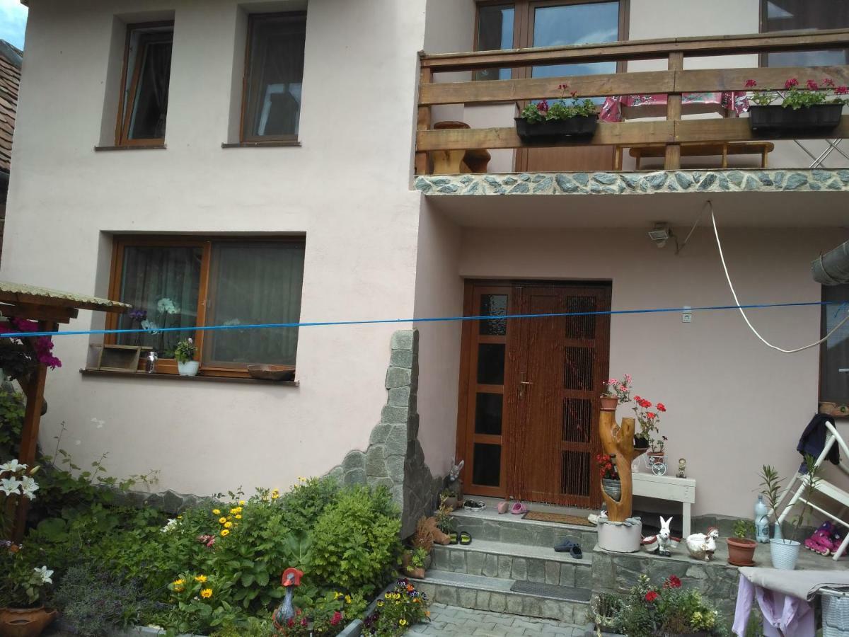 Casa Teo Hotell Ocna Sibiului Exteriör bild